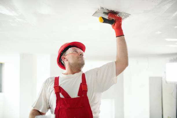  Atkinson, IL Drywall & Painting Services Pros